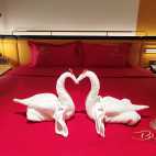 活力大床房(无早)